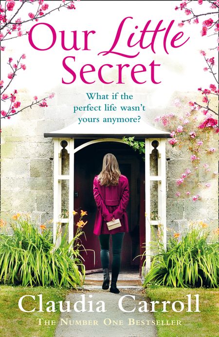 Cover image for Our Little Secret - Claudia Carroll