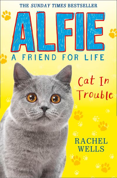 Alfie Cat in Trouble - Rachel Wells