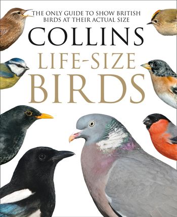 Collins Life-Size Birds: The Only Guide to Show British Birds at their Actual Size - Paul Sterry and Rob Read
