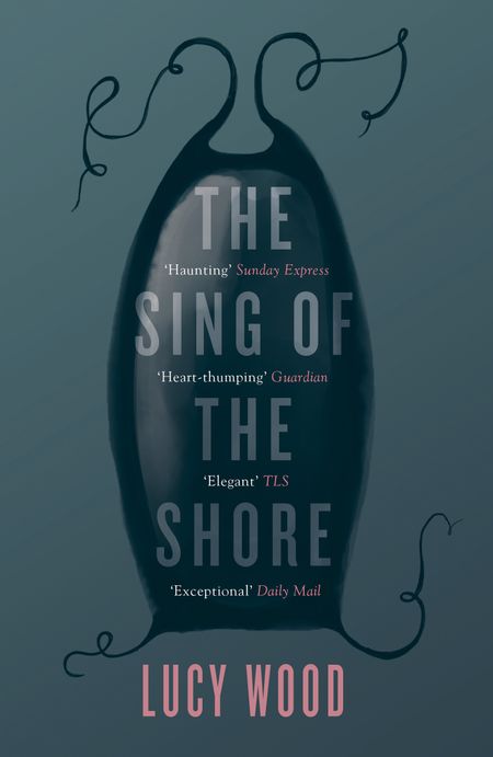 Cover image for The Sing of the Shore - Lucy Wood