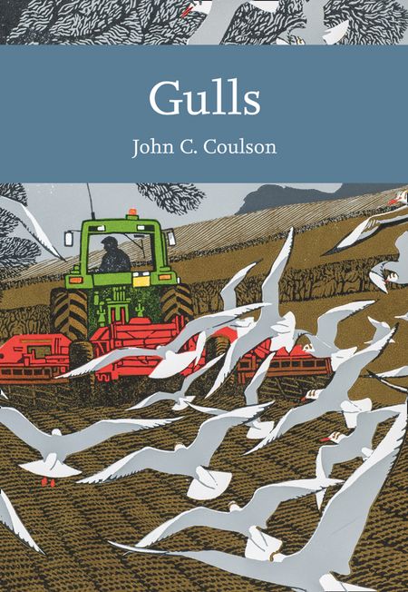 Cover image for Collins New Naturalist Library - Gulls (Collins New Naturalist Library, Book 139) - Professor John C. Coulson