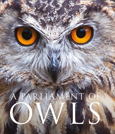 A Parliament of Owls - Mike Unwin, Photographs by David Tipling