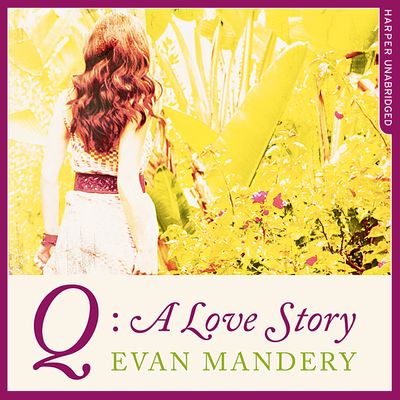 Q: A Love Story: Unabridged edition - Evan Mandery, Read by James Fouhey