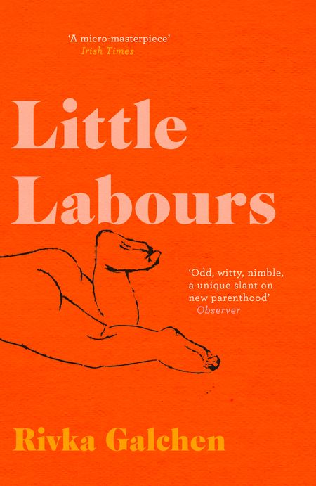 Cover image for Little Labours - Rivka Galchen