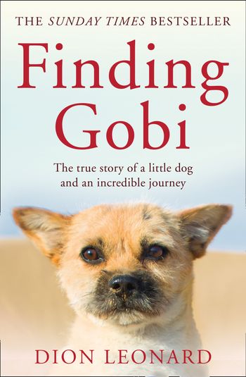 Finding Gobi (Main edition): The true story of a little dog and an incredible journey - Dion Leonard