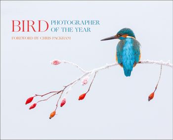 Bird Photographer of the Year: Collection 2 - Bird Photographer of the Year