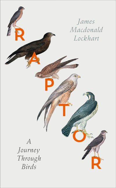 Raptor: A Journey Through Birds: Signed edition - James Macdonald Lockhart