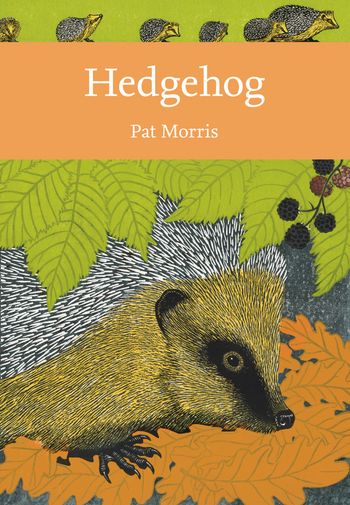 Collins New Naturalist Library - Hedgehog (Collins New Naturalist Library, Book 137) - Pat Morris