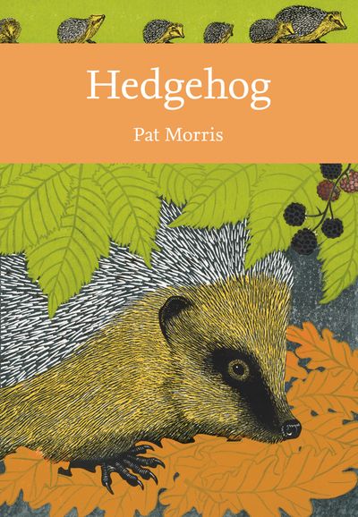 Cover image for Collins New Naturalist Library - Hedgehog (Collins New Naturalist Library, Book 137) - Pat Morris