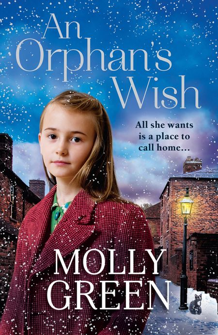 Cover image for An Orphan’s Wish - Molly Green