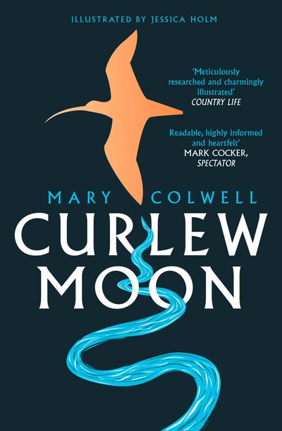 Cover image for Curlew Moon - Mary Colwell