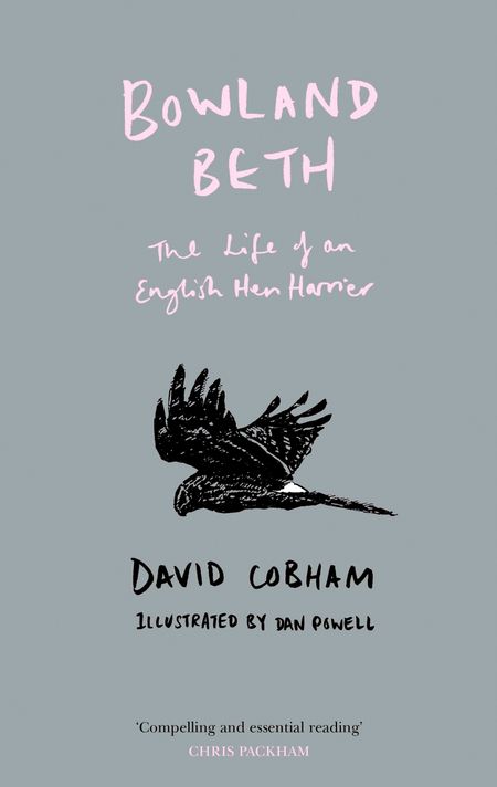 Cover image for Bowland Beth: The Life of an English Hen Harrier - David Cobham, Illustrated by Dan Powell