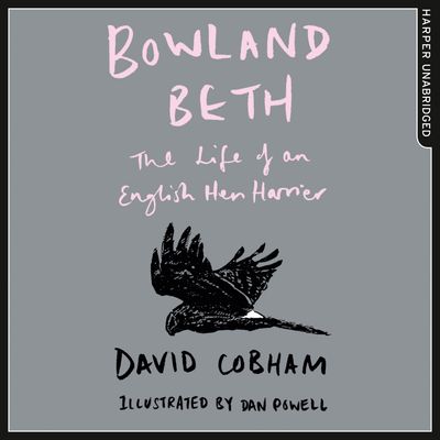 Cover image for Bowland Beth: The Life of an English Hen Harrier: Unabridged edition - David Cobham, Read by Dugald Bruce-Lockhart