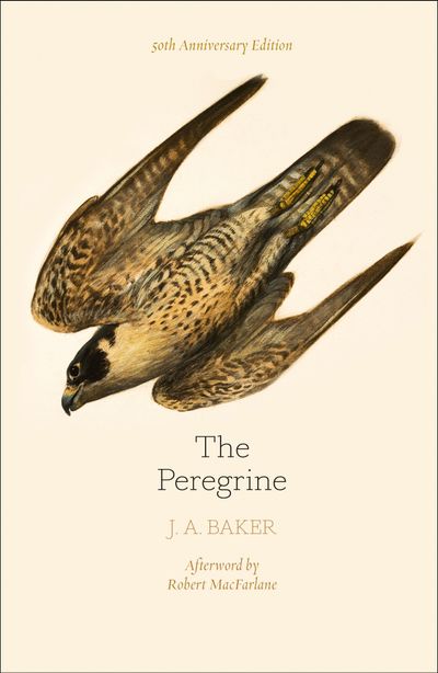 Cover image for The Peregrine: 50th Anniversary Edition: Afterword by Robert Macfarlane - J. A. Baker, Introduction by Mark Cocker, Afterword by Robert Macfarlane, Edited by John Fanshawe