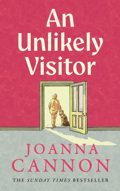 Cover image for An Unlikely Visitor - Joanna Cannon