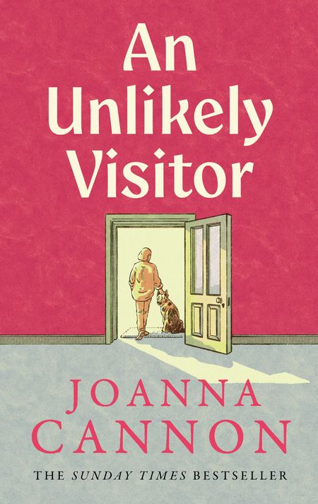 Cover image for An Unlikely Visitor - Joanna Cannon