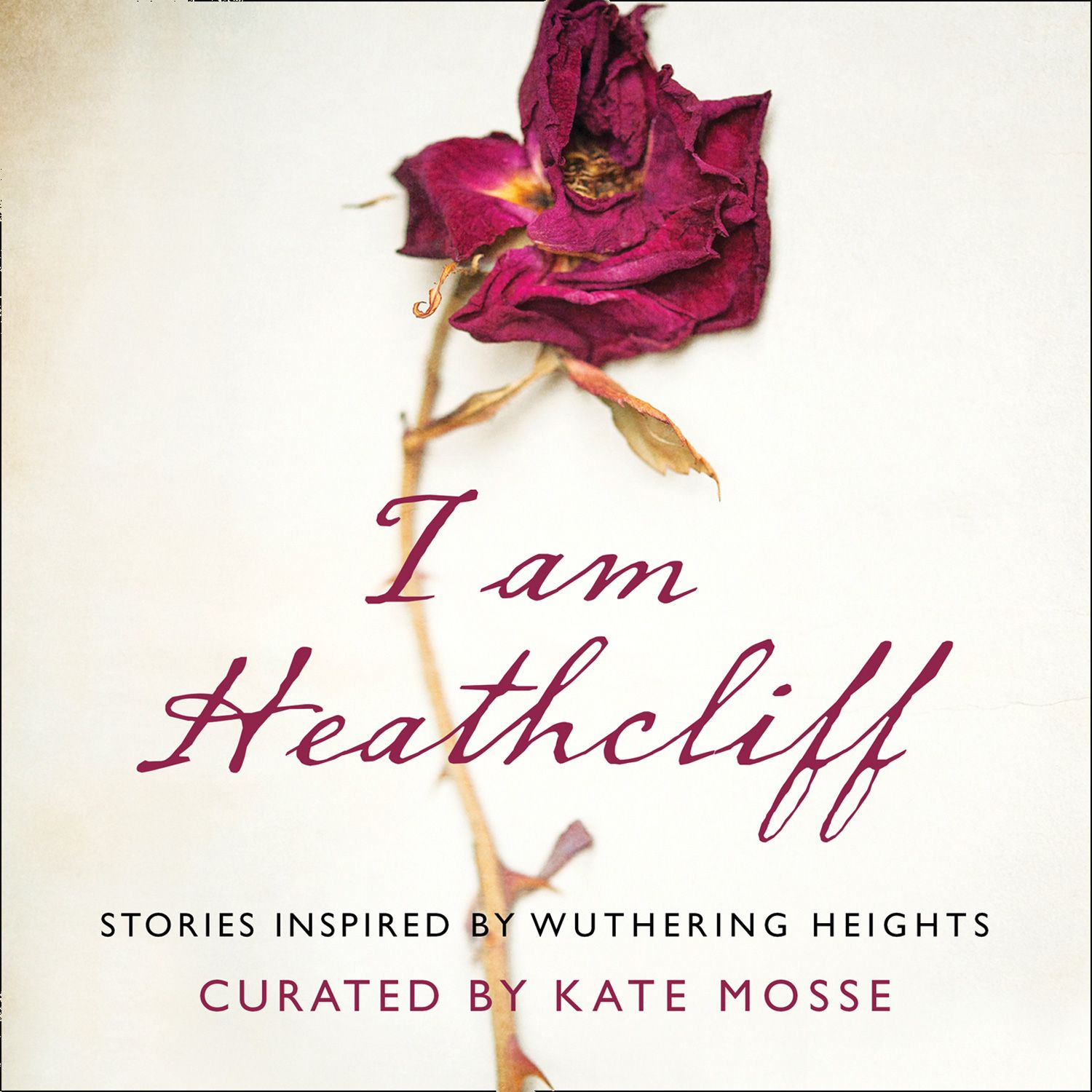 I AM HEATHCLIFF