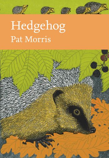 Hedgehog (Collins New Naturalist Library, Book 137)