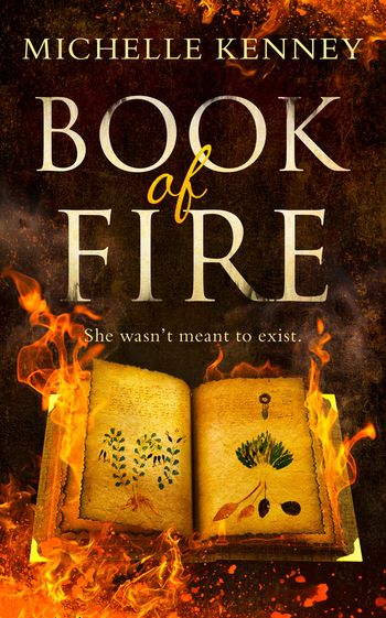 The Book of Fire series - Book of Fire (The Book of Fire series, Book 1) - Michelle Kenney