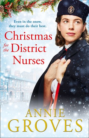 The District Nurses - Christmas for the District Nurses (The District Nurses, Book 3) - Annie Groves