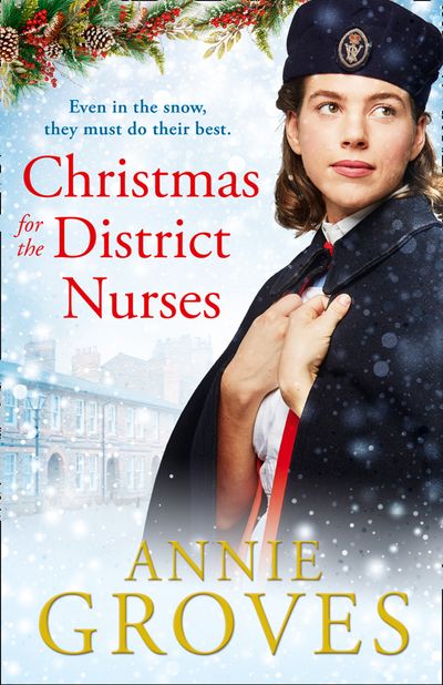The District Nurses - Christmas for the District Nurses (The District Nurses, Book 3) - Annie Groves