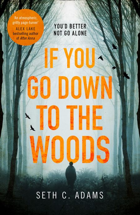 If You Go Down to the Woods - Seth C. Adams