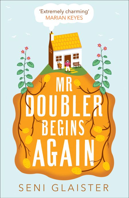 Cover image for Mr Doubler Begins Again - Seni Glaister