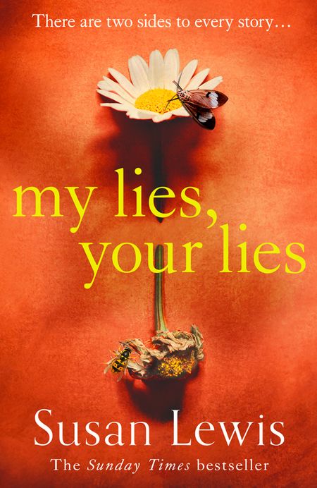 Cover image for My Lies, Your Lies - Susan Lewis