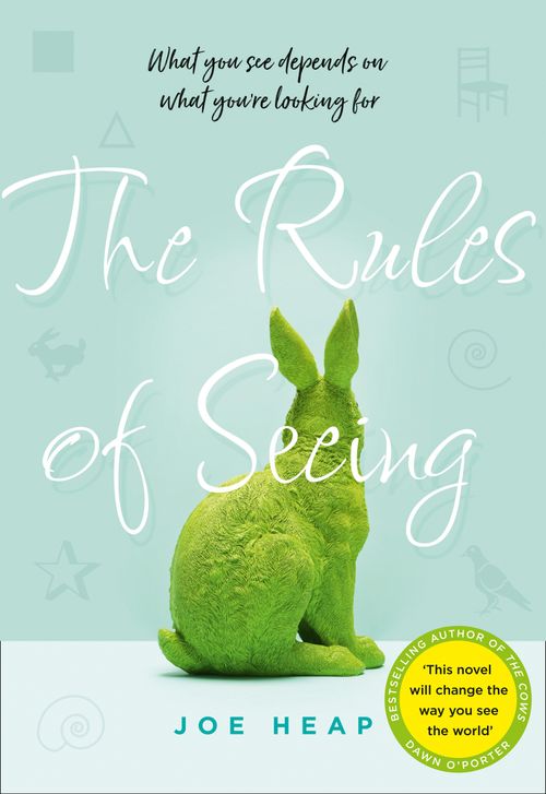 The Rules of Seeing, Contemporary Fiction, Hardback, Joe Heap