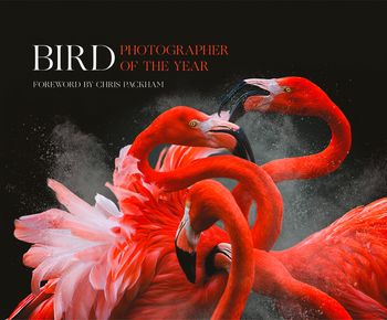 Bird Photographer of the Year: Collection 3 - Bird Photographer of the Year, Foreword by Chris Packham