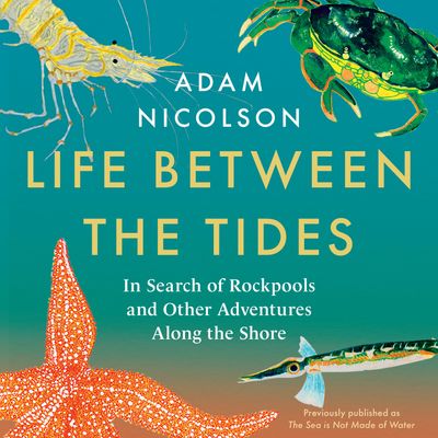 Cover image for Life Between the Tides: In Search of Rockpools and Other Adventures Along the Shore: Unabridged edition - Adam Nicolson, Read by Leighton Pugh