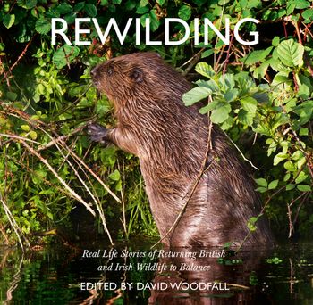 Rewilding: Real Life Stories of Returning British and Irish Wildlife to Balance - David Woodfall