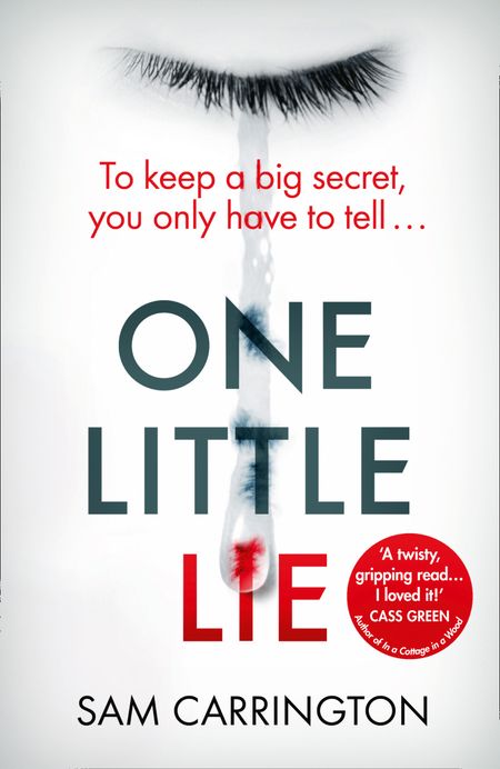 Cover image for One Little Lie - Sam Carrington