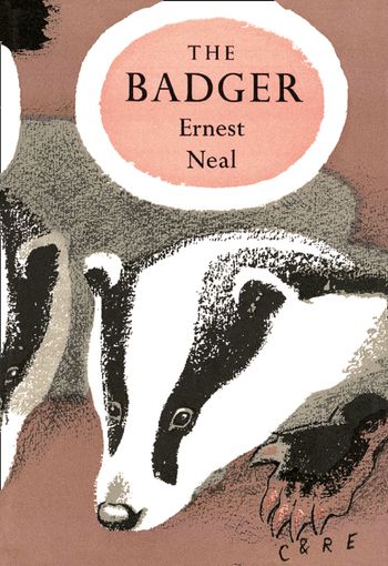 Collins New Naturalist Monograph Library - The Badger (Collins New Naturalist Monograph Library, Book 1): Dust Jacket only edition - Ernest Neal