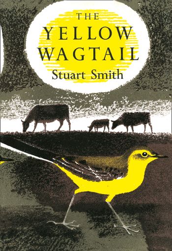 Collins New Naturalist Monograph Library - The Yellow Wagtail (Collins New Naturalist Monograph Library, Book 4): Dust Jacket only edition - Stuart Smith