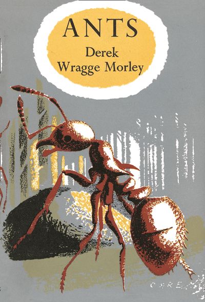 Collins New Naturalist Monograph Library - Ants (Collins New Naturalist Monograph Library, Book 8): Dust Jacket only edition - Derek Wragge Morley