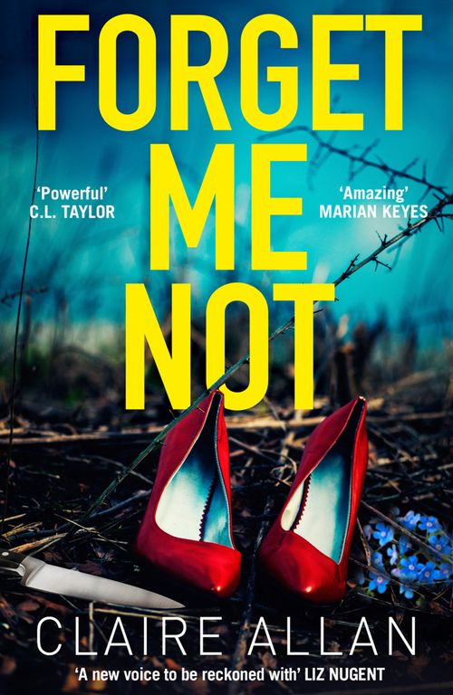 Forget Me Not An unputdownable serial killer thriller by Claire Allan PAPERBACK - Image 10