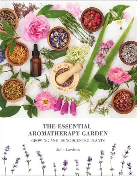 Cover image for The Essential Aromatherapy Garden: Growing & using scented plants - Julia Lawless