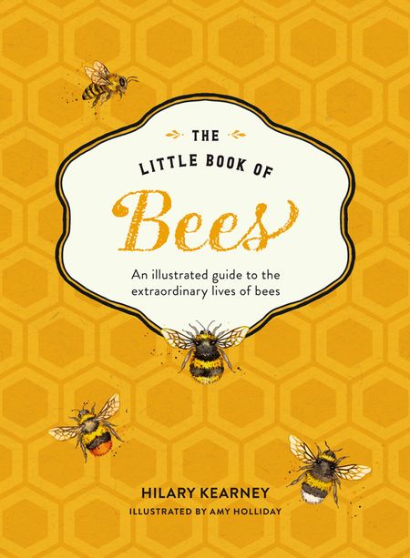  - Hilary Kearney, Illustrated by Amy Holliday