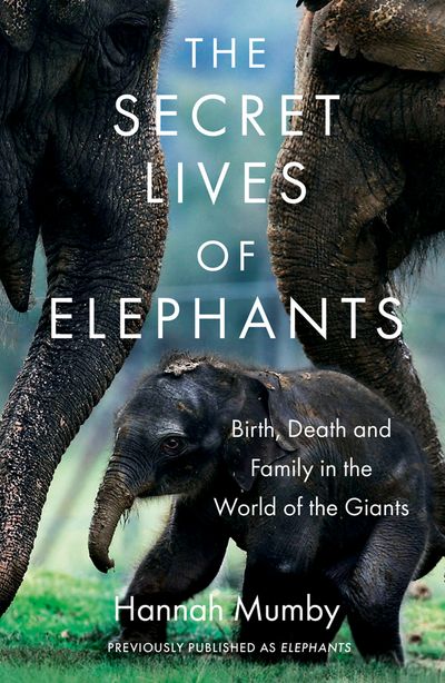 The Secret Lives of Elephants: Birth, Death and Family in the World of the Giants - Hannah Mumby