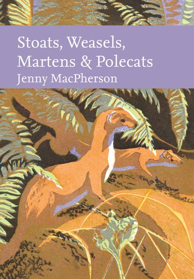 Cover image for Collins New Naturalist Library - Stoats, Weasels, Martens and Polecats (Collins New Naturalist Library) - Jenny MacPherson