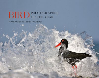  - Bird Photographer of the Year