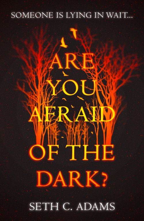 Are You Afraid of the Dark?, Fiction, Paperback, Seth C. Adams
