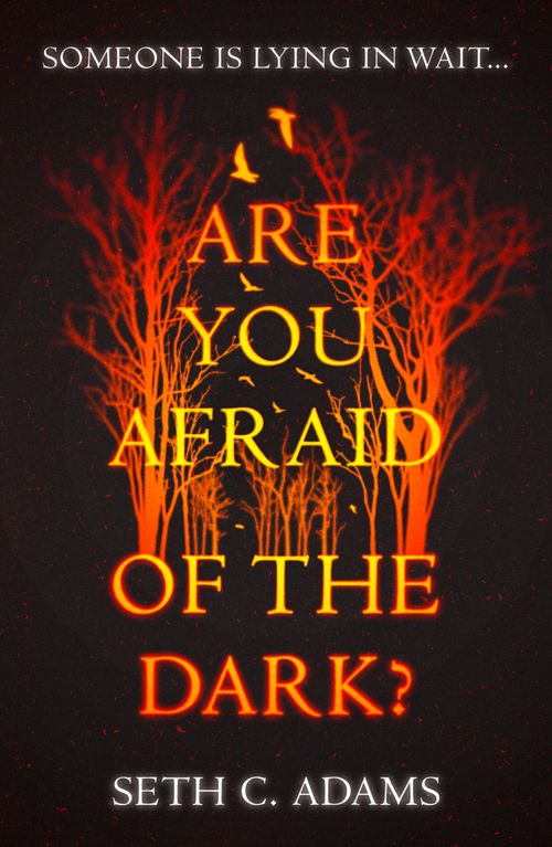 Are You Afraid of the Dark?, Crime & Thriller, Paperback, Seth C. Adams