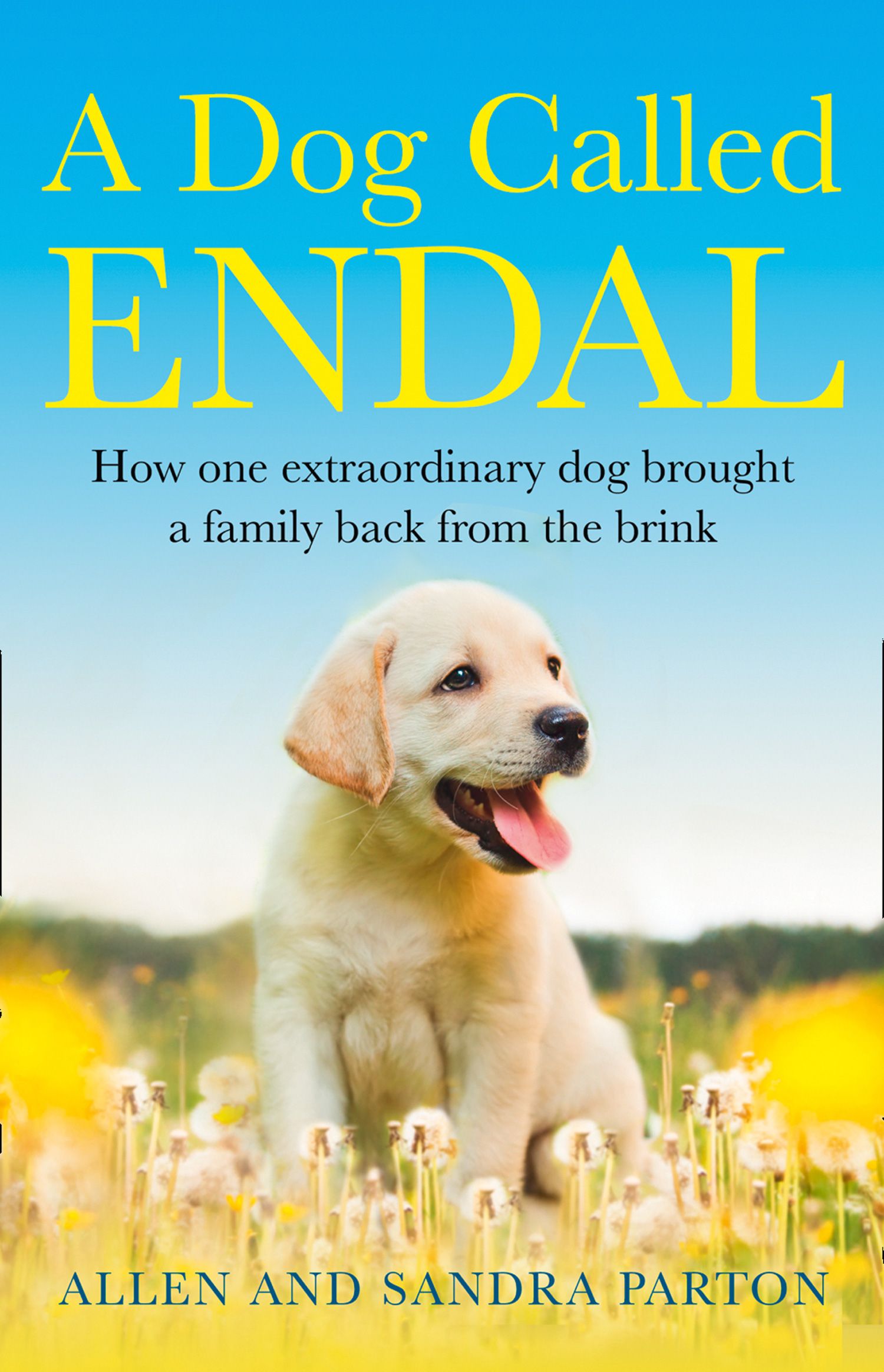A Dog Called Endal