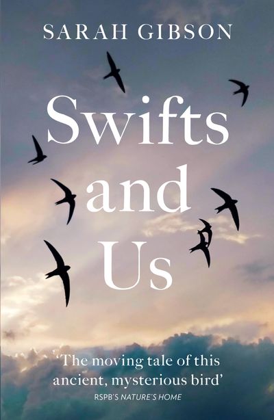 Swifts and Us: The Life of the Bird that Sleeps in the Sky - Sarah Gibson