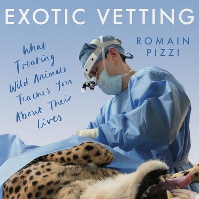 Cover image for Exotic Vetting: What Treating Wild Animals Teaches You About Their Lives: Unabridged edition - Romain Pizzi, Read by Patrick Doherty