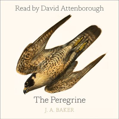 The Peregrine - J. A. Baker, Introduction by Mark Cocker, Afterword by Robert Macfarlane, Read by David Attenborough and Dugald Bruce-Lockhart