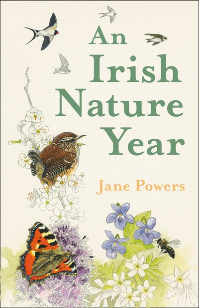 Cover image for An Irish Nature Year - Jane Powers, Illustrated by Robert Vaughan