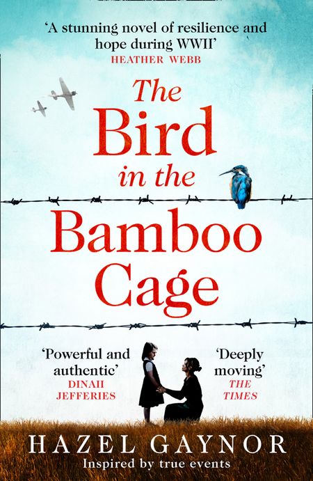 Cover image for The Bird in the Bamboo Cage - Hazel Gaynor